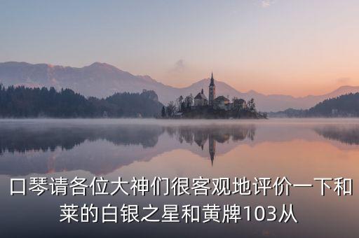 口琴請各位大神們很客觀地評價(jià)一下和萊的白銀之星和黃牌103從