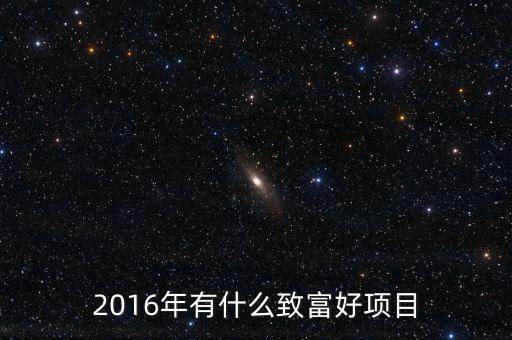2016年有什么致富好項(xiàng)目