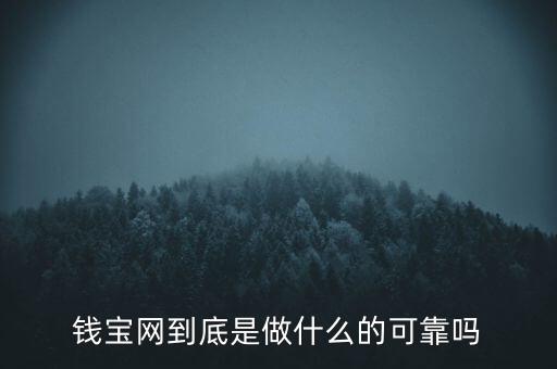 錢寶網(wǎng)到底是做什么的可靠嗎