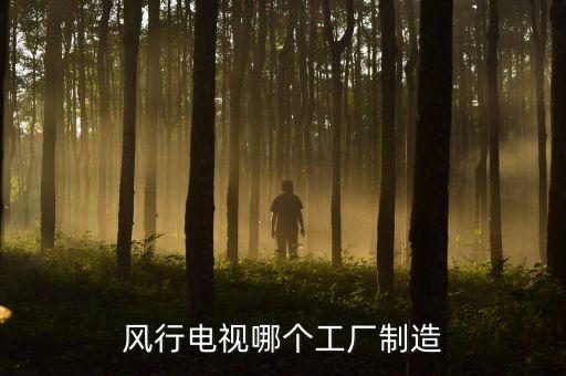 風行電視哪個工廠制造
