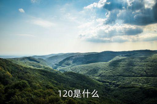 海關(guān)反饋代碼120表示什么意思，報關(guān)實務(wù)中120p是什么意思