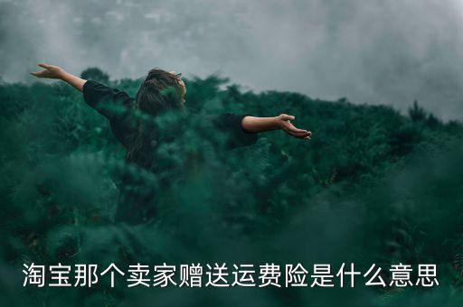 淘寶那個賣家贈送運費險是什么意思