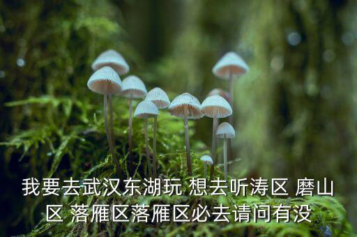 梨園鎮(zhèn)磚廠村居住項目為什么這么便宜，北京通州區(qū)梨園鎮(zhèn)小街之春嘉園磚廠北里市郊區(qū)還是城區(qū)