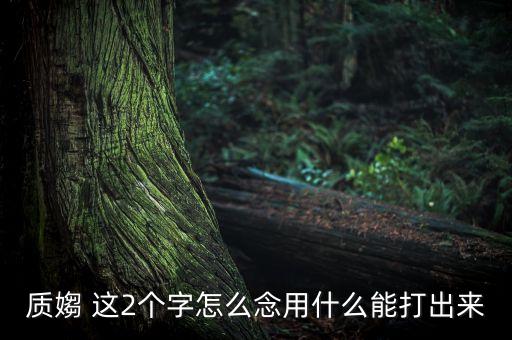 質(zhì)媰 這2個字怎么念用什么能打出來