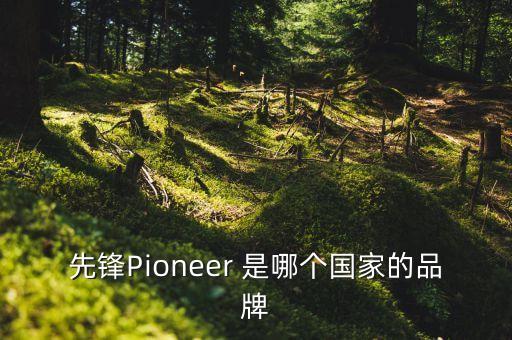 先鋒電子什么時(shí)候上市，pioneer先鋒手機(jī)什么時(shí)候上市