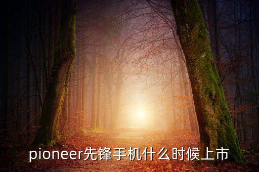 pioneer先鋒手機(jī)什么時(shí)候上市