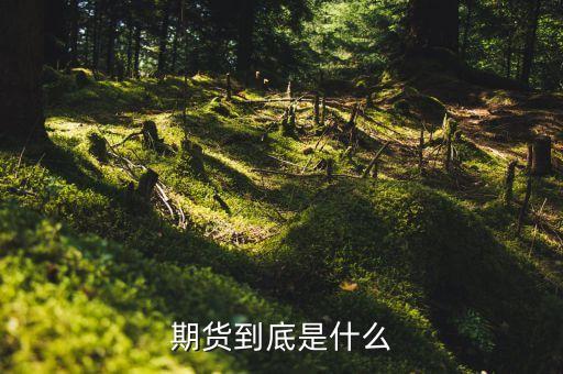 賣期貨是什么意思，期貨到底是什么