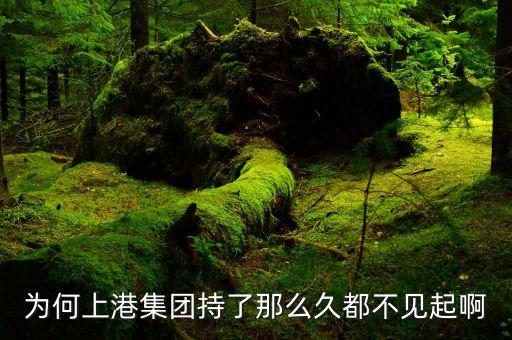 為何上港集團持了那么久都不見起啊