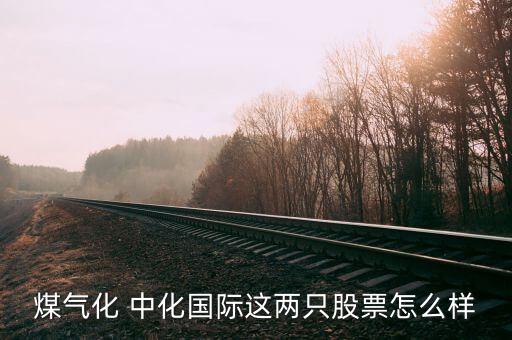 煤氣化 中化國(guó)際這兩只股票怎么樣