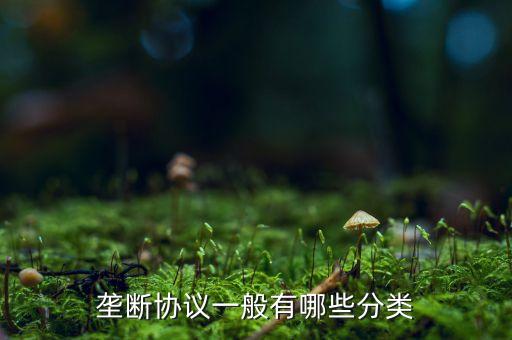 什么是縱向壟斷協(xié)議，壟斷協(xié)議一般有哪些分類(lèi)