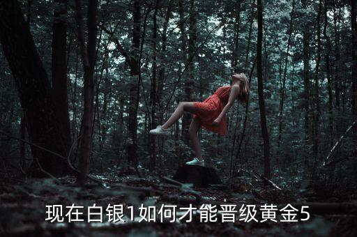 現(xiàn)在白銀1如何才能晉級黃金5