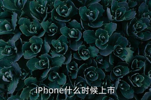ipo預(yù)計(jì)什么時(shí)候，iPhone什么時(shí)候上市