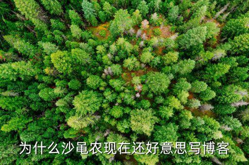 沙黽農(nóng)為什么要害散戶，沙黽農(nóng)到底是個(gè)什么樣的人