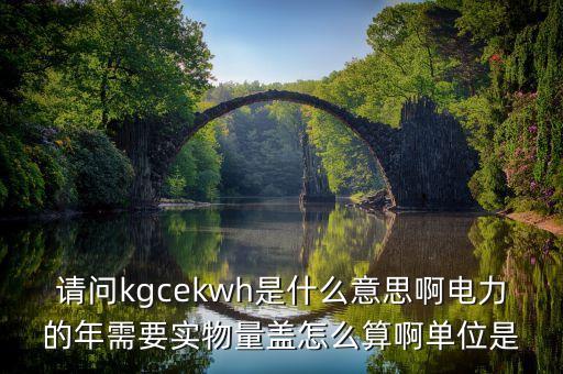 什么是實物煤，營業(yè)執(zhí)照上煤炭不含實物煤的交易儲存活動是什么意思