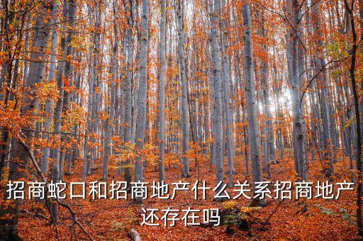 招商地產(chǎn)什么時候在新加坡上市，招商蛇口和招商地產(chǎn)什么關系招商地產(chǎn)還存在嗎