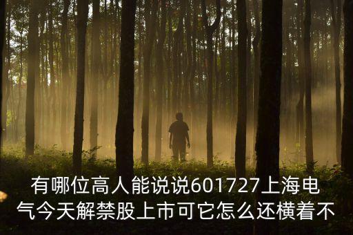 601727上海電氣為什么停牌，上海電氣股票今天怎么不漲