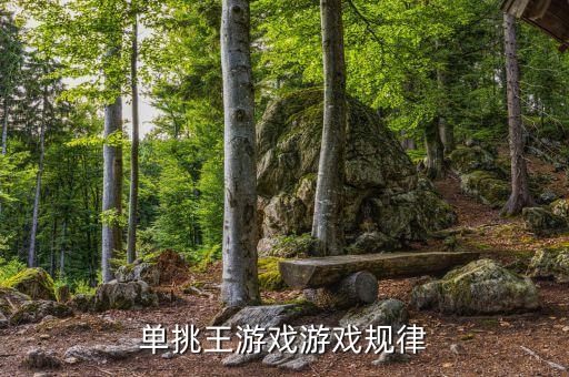 單挑王游戲機(jī)為什么能包賺不賠，單挑王游戲游戲規(guī)律