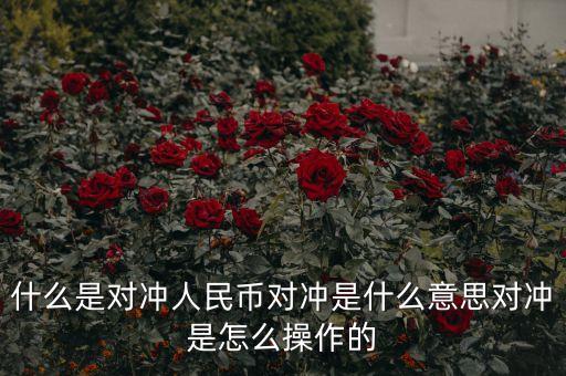 什么是對沖人民幣對沖是什么意思對沖是怎么操作的