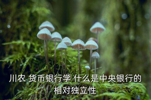 什么是央行獨(dú)立性，中央銀行獨(dú)立性的弊端是什么