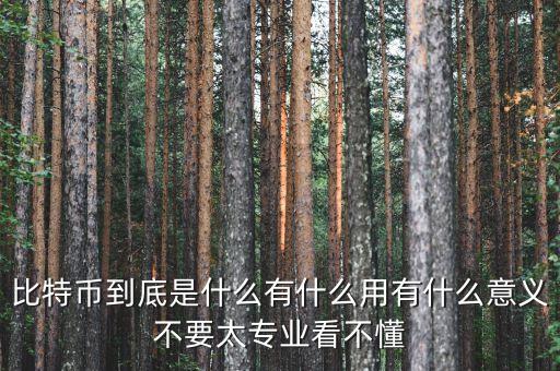 為什么買比特幣，為什么朋友老是建議我買比特幣