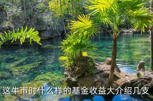 這牛市時(shí)什么樣的基金收益大介紹幾支