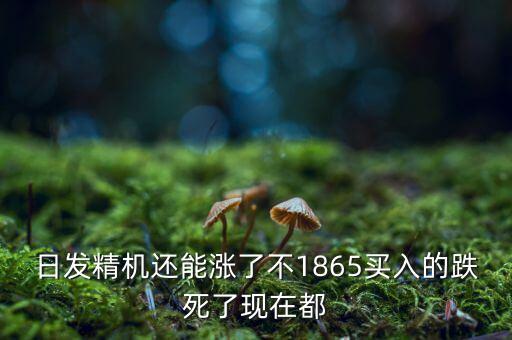 日發(fā)精機為什么一直跌，002009 怎么老跌呀