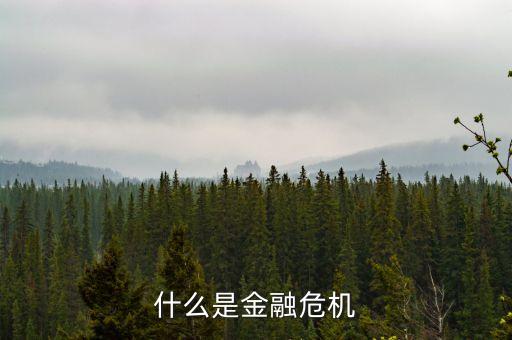 什么是光大銀行危機，金融危機是什么意思
