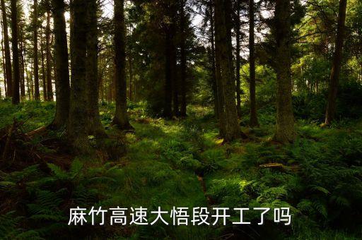 麻竹高速大悟芳畈什么時(shí)候開(kāi)工，麻竹高速公路什么時(shí)候開(kāi)工