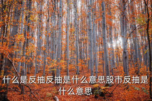 什么是反抽反抽是什么意思股市反抽是什么意思