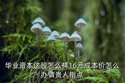 華業(yè)資本這股怎么樣16元成本價(jià)怎么辦請(qǐng)貴人指點(diǎn)