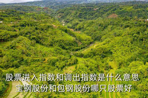 股票進(jìn)入指數(shù)和調(diào)出指數(shù)是什么意思 寶鋼股份和包鋼股份哪只股票好