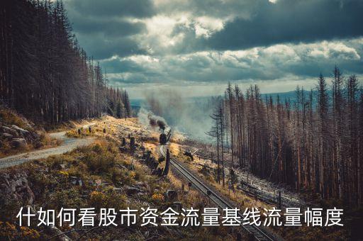什如何看股市資金流量基線流量幅度