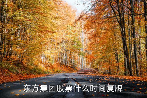 東方集團股票什么時間復牌