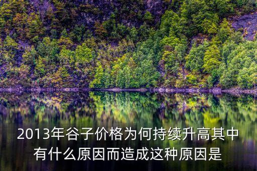 2013年谷子價(jià)格為何持續(xù)升高其中有什么原因而造成這種原因是