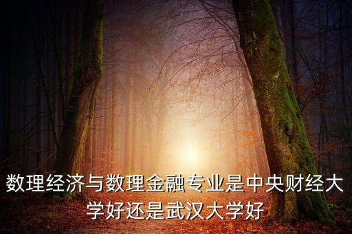 數(shù)理經(jīng)濟與數(shù)理金融專業(yè)是中央財經(jīng)大學(xué)好還是武漢大學(xué)好
