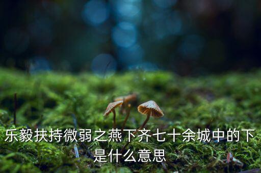 什么是進(jìn)口替代戰(zhàn)略，樂毅扶持微弱之燕下齊七十余城中的下是什么意思