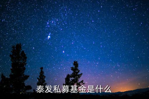 000263基金是什么基金，國(guó)金金騰通貨幣c是一種什么基金