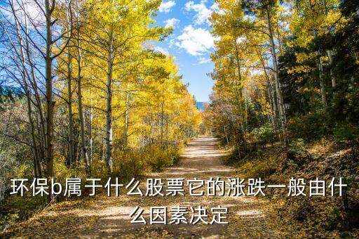 環(huán)保b是什么，環(huán)保b屬于什么股票它的漲跌一般由什么因素決定