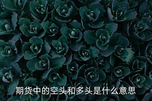 期貨空頭是什么意思，期貨市場中空頭者是什么意思
