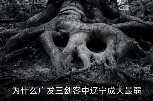 為什么廣發(fā)三劍客中遼寧成大最弱