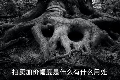 什么是加碼幅度，貸款利率定價(jià)方式中加點(diǎn)幅度是什么意思
