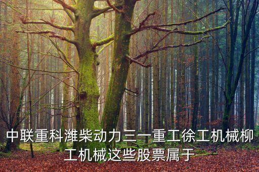 002552是什么板塊，中聯(lián)重科濰柴動(dòng)力三一重工徐工機(jī)械柳工機(jī)械這些股票屬于
