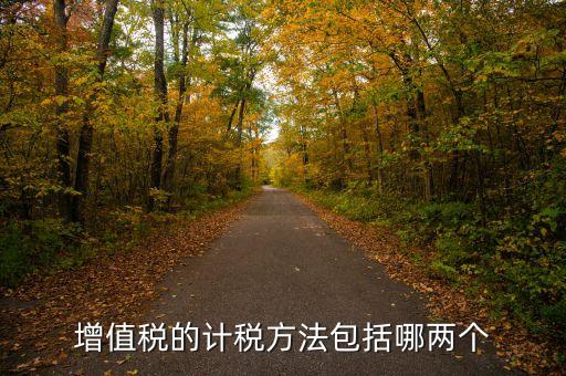 增值稅的計(jì)稅方法包括哪兩個(gè)