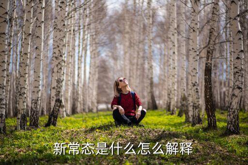 新常態(tài)是什么怎么解釋