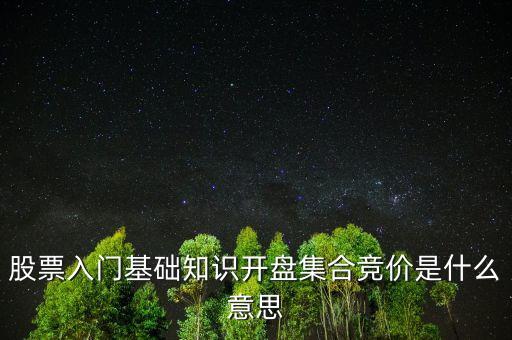 股票入門基礎(chǔ)知識(shí)開盤集合競(jìng)價(jià)是什么意思