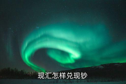 現(xiàn)匯是什么，請教下外匯買賣中的現(xiàn)匯買入價(jià)和現(xiàn)鈔買入價(jià)有何區(qū)別