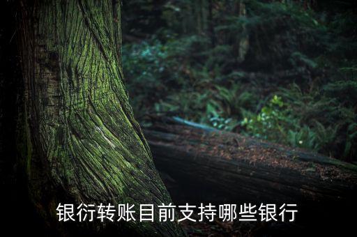 銀衍轉(zhuǎn)賬是什么，銀衍轉(zhuǎn)賬目前支持哪些銀行