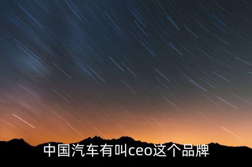 中國汽車有叫ceo這個(gè)品牌
