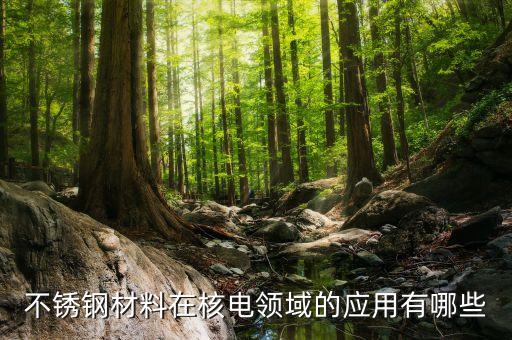 不銹鋼材料在核電領域的應用有哪些