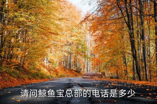 請問鯨魚寶總部的電話是多少
